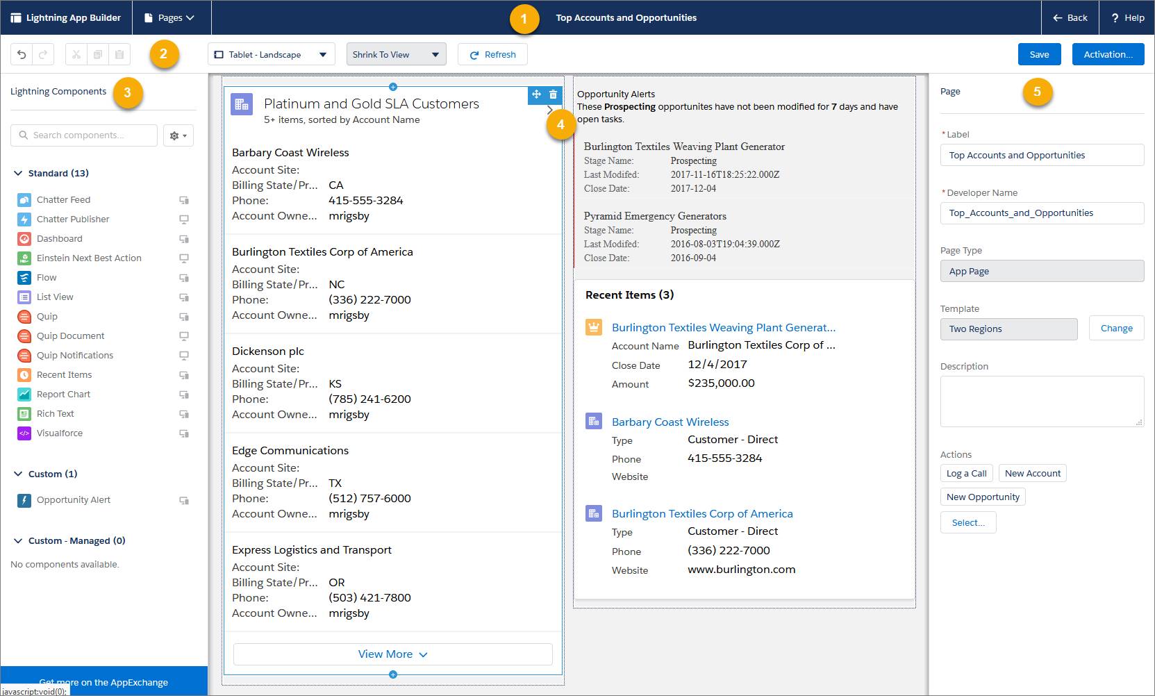 give users permission to lightning app builder salesforce